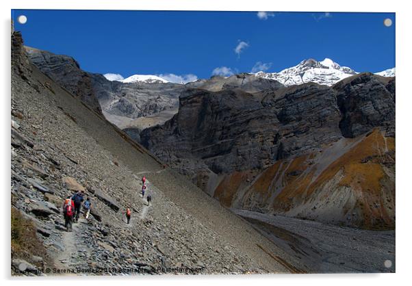 The Path to Thorung Phedi, Annapurna Circuit, Hima Acrylic by Serena Bowles