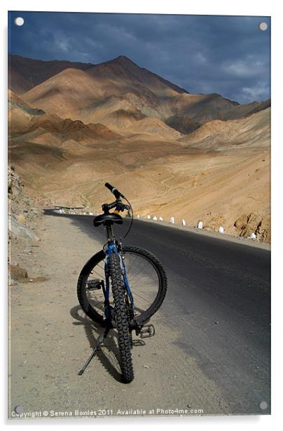 Mountain Biking down from Khardung La Acrylic by Serena Bowles