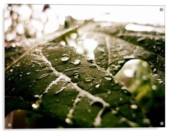 Rain drops Acrylic by Aritra Pal