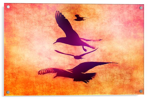  Free As A Bird Acrylic by Louise Godwin