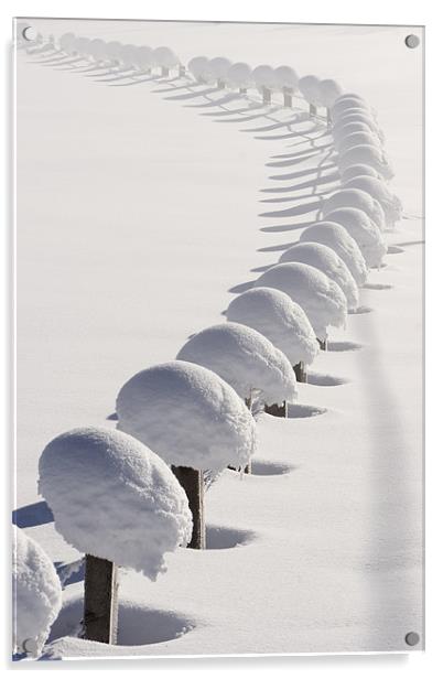 Snowchain VIII Acrylic by Thomas Schaeffer