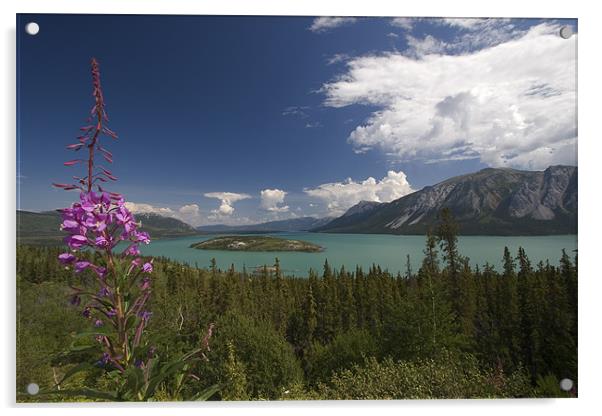 Yukon Lake Acrylic by Thomas Schaeffer