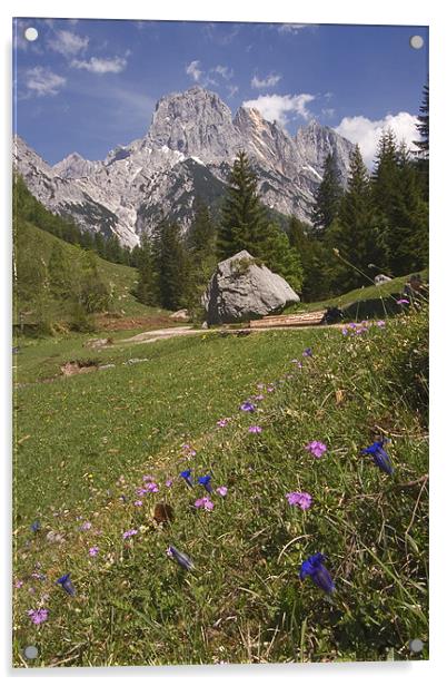 Alpine scenery Acrylic by Thomas Schaeffer