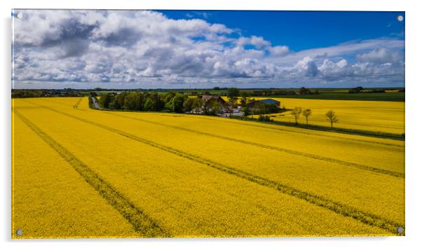 Rapeseed aerial Acrylic by Thomas Schaeffer