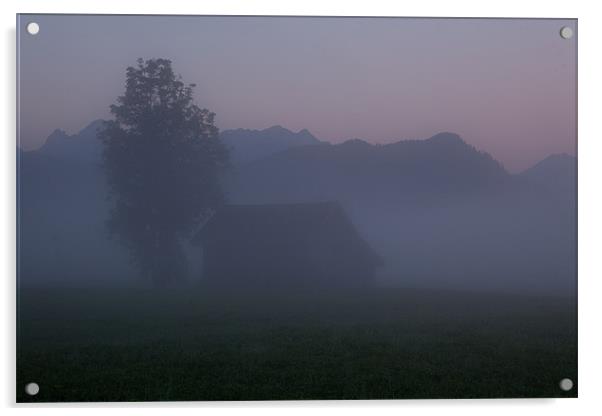 Mornig mist Acrylic by Thomas Schaeffer