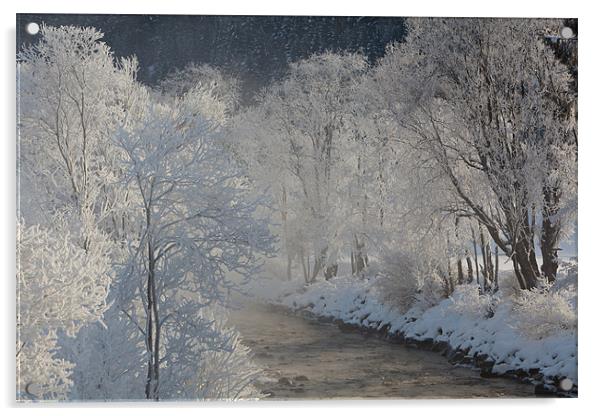 Winter morning Acrylic by Thomas Schaeffer