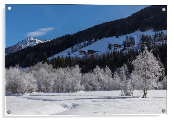 Austrian Wintermorning Acrylic by Thomas Schaeffer