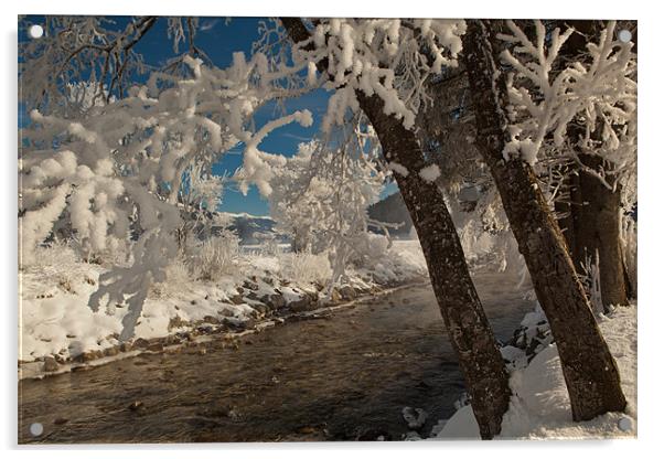 Alpine winter morning Acrylic by Thomas Schaeffer