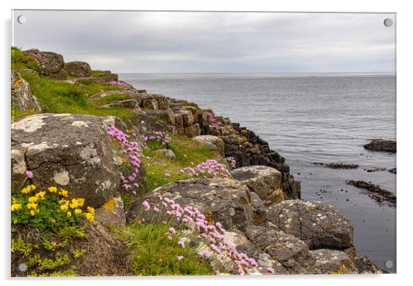 Giants Causeway Acrylic by Thomas Schaeffer