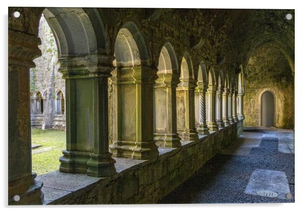Quin Abbey Acrylic by Thomas Schaeffer