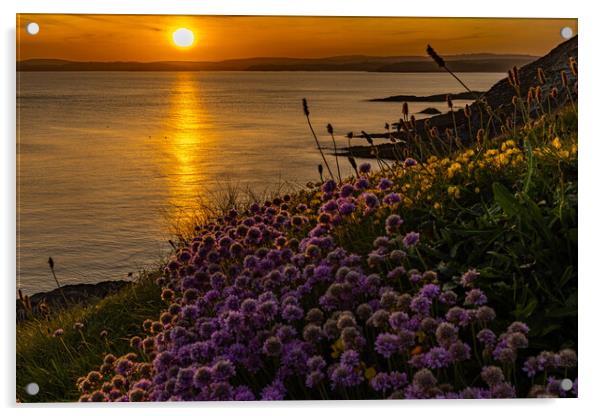 Sunset am Galley Head Acrylic by Thomas Schaeffer