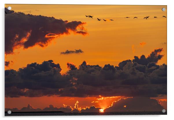 Sunset am Holmersiel Acrylic by Thomas Schaeffer