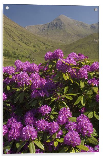 Glen Etive Acrylic by Thomas Schaeffer