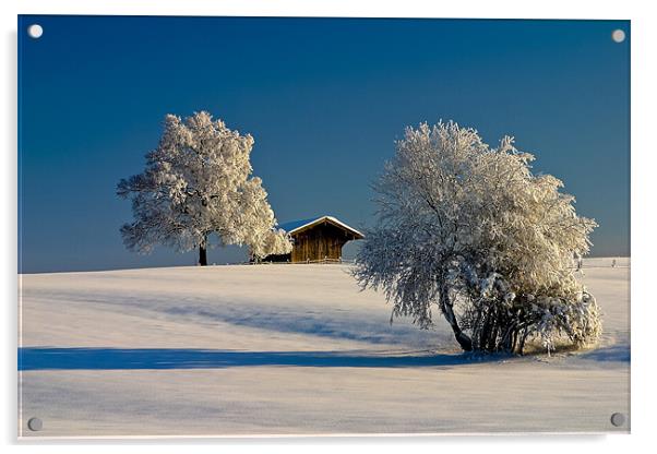 Winterland Acrylic by Thomas Schaeffer