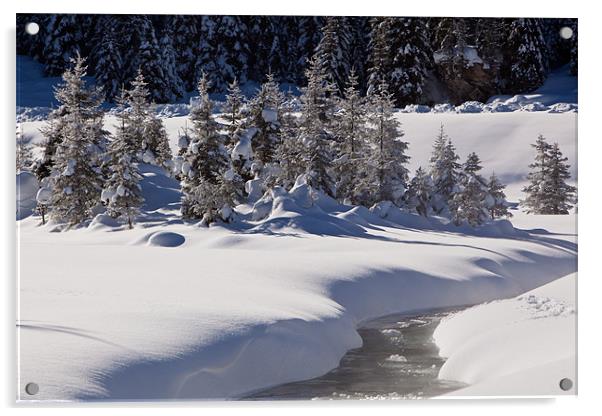 Winter creek Acrylic by Thomas Schaeffer