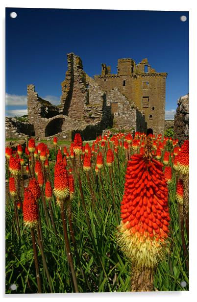 Dunnottar Acrylic by Thomas Schaeffer