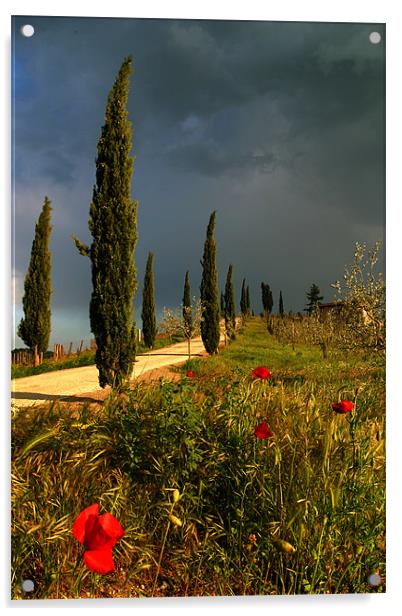 Toscana thunderstorm Acrylic by Thomas Schaeffer