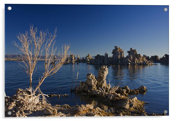 Mono Lake Sunrise III  Acrylic by Thomas Schaeffer