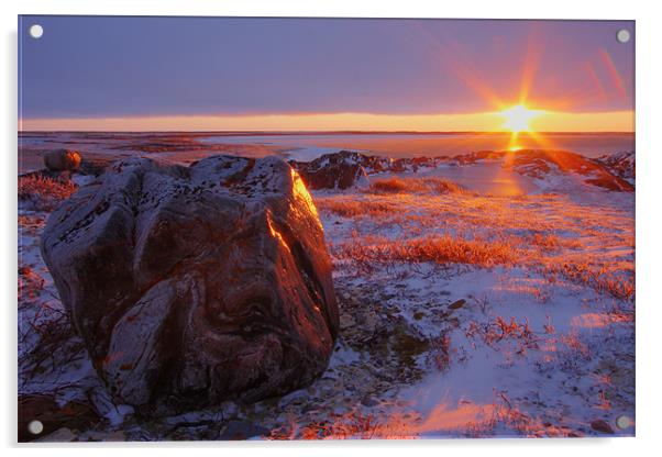 Arctic Sunset  Acrylic by Thomas Schaeffer