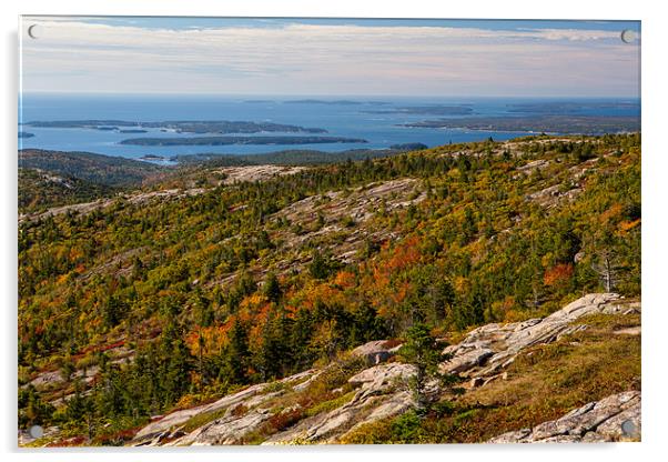 View from Cadillac Mountain Acrylic by Thomas Schaeffer