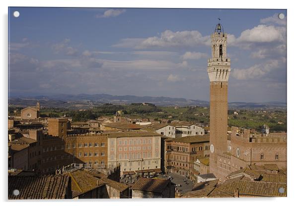 Aerial view of Siena Acrylic by Thomas Schaeffer