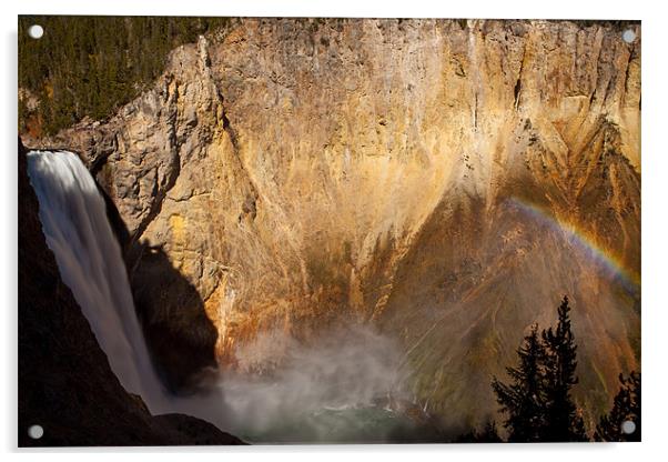 Grand Canyon of the Yellowstone Acrylic by Thomas Schaeffer