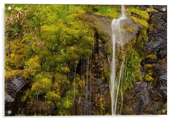 Green waterfall Acrylic by Thomas Schaeffer
