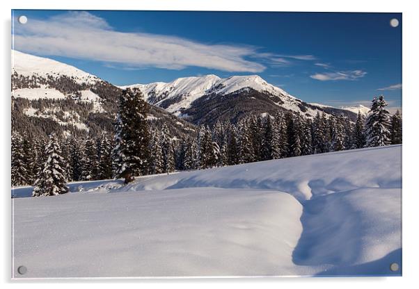 Winter wonderland Acrylic by Thomas Schaeffer