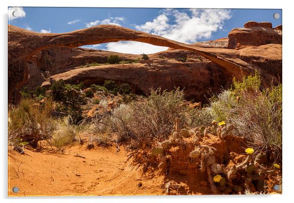 Landscape Arch Acrylic by Thomas Schaeffer