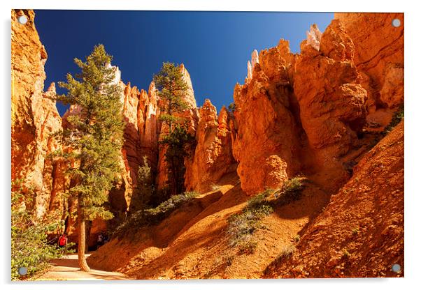 Navajo Loop & Queens Garden Trail Acrylic by Thomas Schaeffer