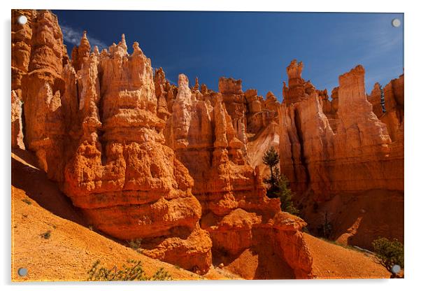 Navajo Loop & Queens Garden Trail Acrylic by Thomas Schaeffer