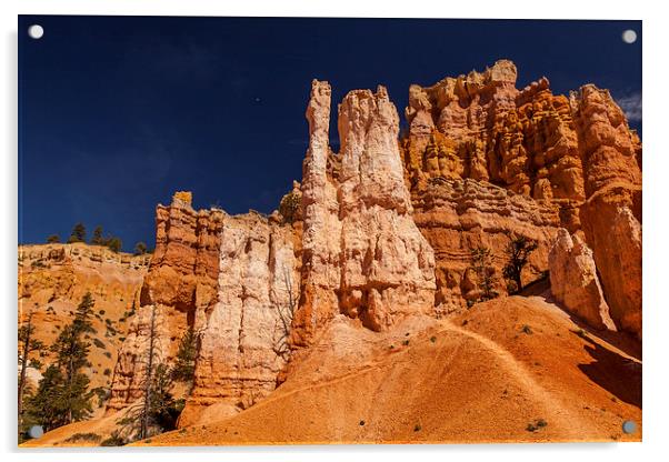 Navajo Loop & Queens Garden Trail Acrylic by Thomas Schaeffer