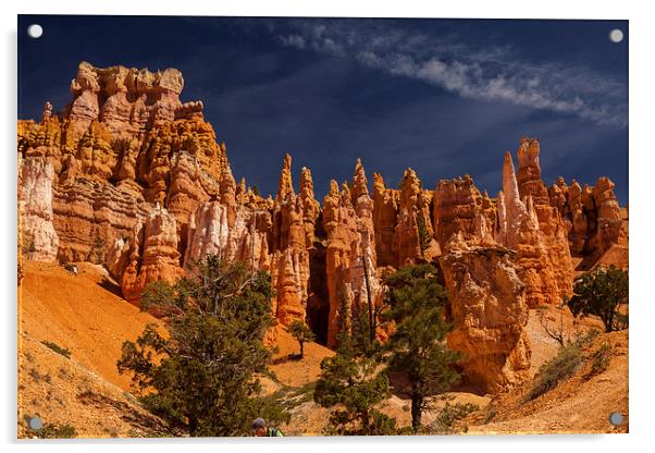 Navajo Loop & Queens Garden Trail Acrylic by Thomas Schaeffer