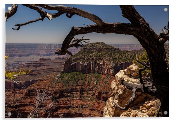 North Rim at Bright Angel Point Acrylic by Thomas Schaeffer