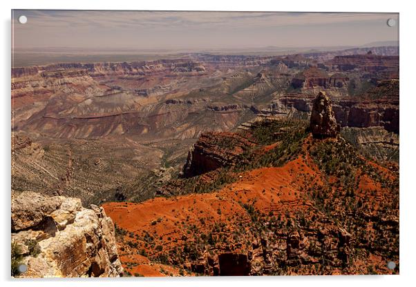 North Rim @ Imperial Point Acrylic by Thomas Schaeffer