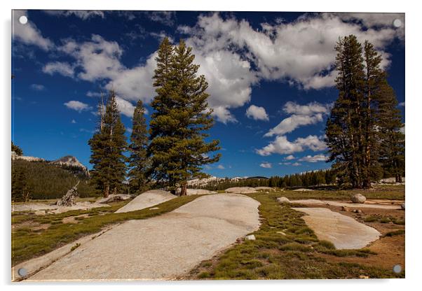 Tioga Road, Yosemite NP Acrylic by Thomas Schaeffer