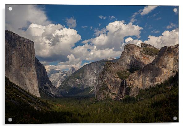 Yosemite Valley Acrylic by Thomas Schaeffer