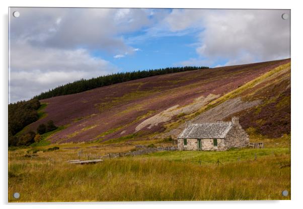 Cairngorms NP Acrylic by Thomas Schaeffer