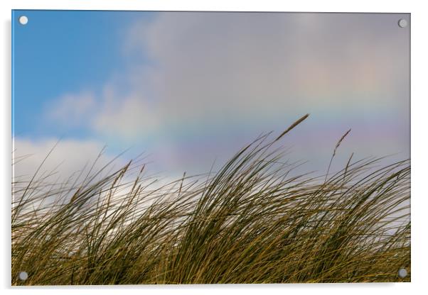 Rainbow dunes Acrylic by Thomas Schaeffer