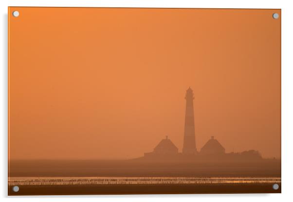 Westerhever Lighthouse at sunset Acrylic by Thomas Schaeffer