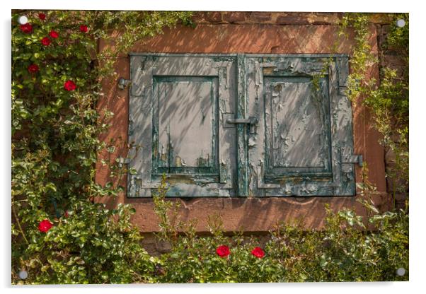 Ancient windows Acrylic by Thomas Schaeffer