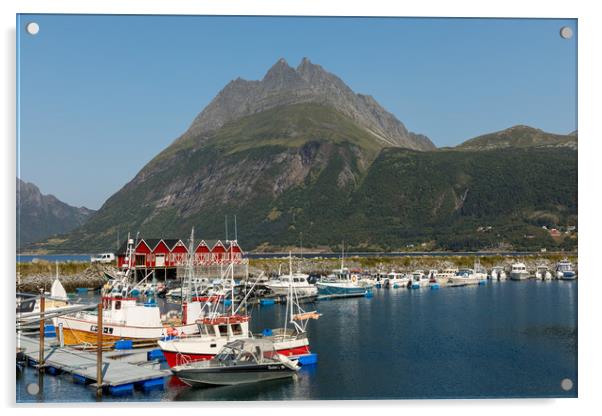 Norway Coast Acrylic by Thomas Schaeffer