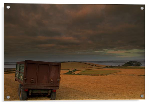 Harvest on the Peninsula Acrylic by pauline morris