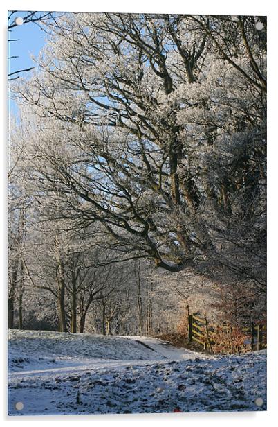 Winter Wonderland Acrylic by pauline morris