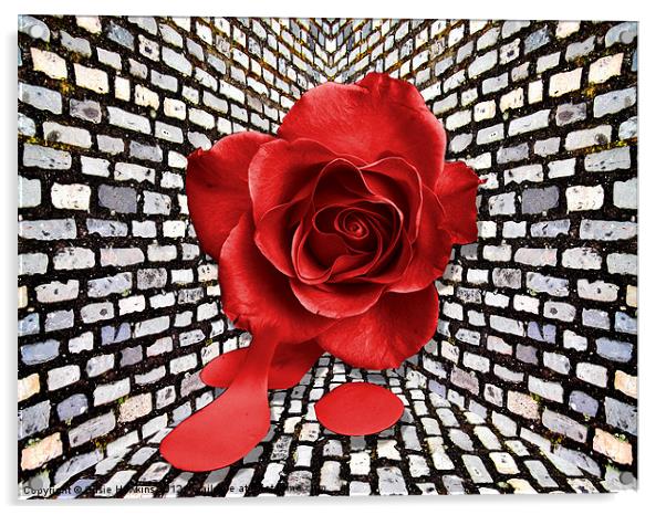 Wall flower.. Acrylic by Susie Hawkins