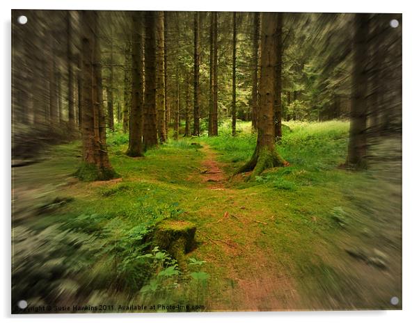 Woodland Run Acrylic by Susie Hawkins