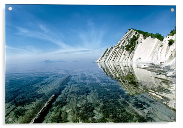 The Black sea coast Acrylic by Vladimir Sidoropolev