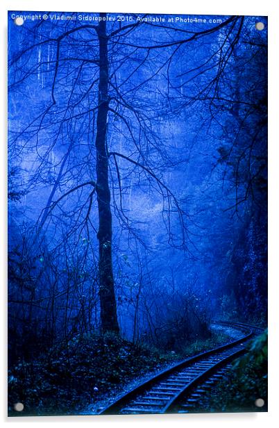  In the dark blue forest Acrylic by Vladimir Sidoropolev