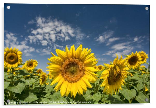 Sunflowers Acrylic by Vladimir Sidoropolev