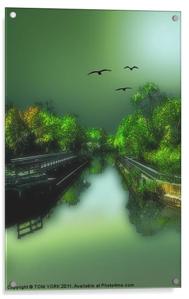 THE OLD CANAL Acrylic by Tom York